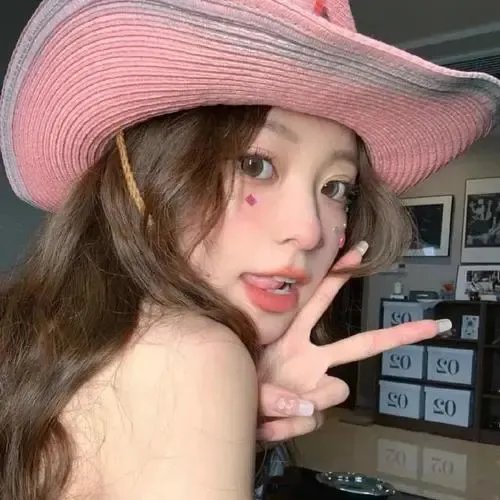 刘少奇的故事