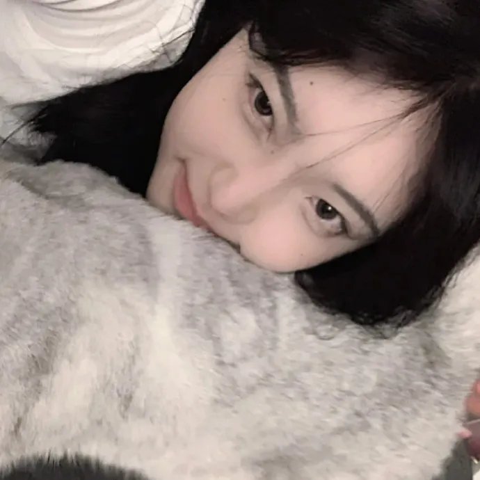 猪就是猪